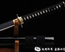 刀塔焦点战：星火战魂对战烈日裁决，拿下关键一胜，将战火烧向决赛的简单介绍