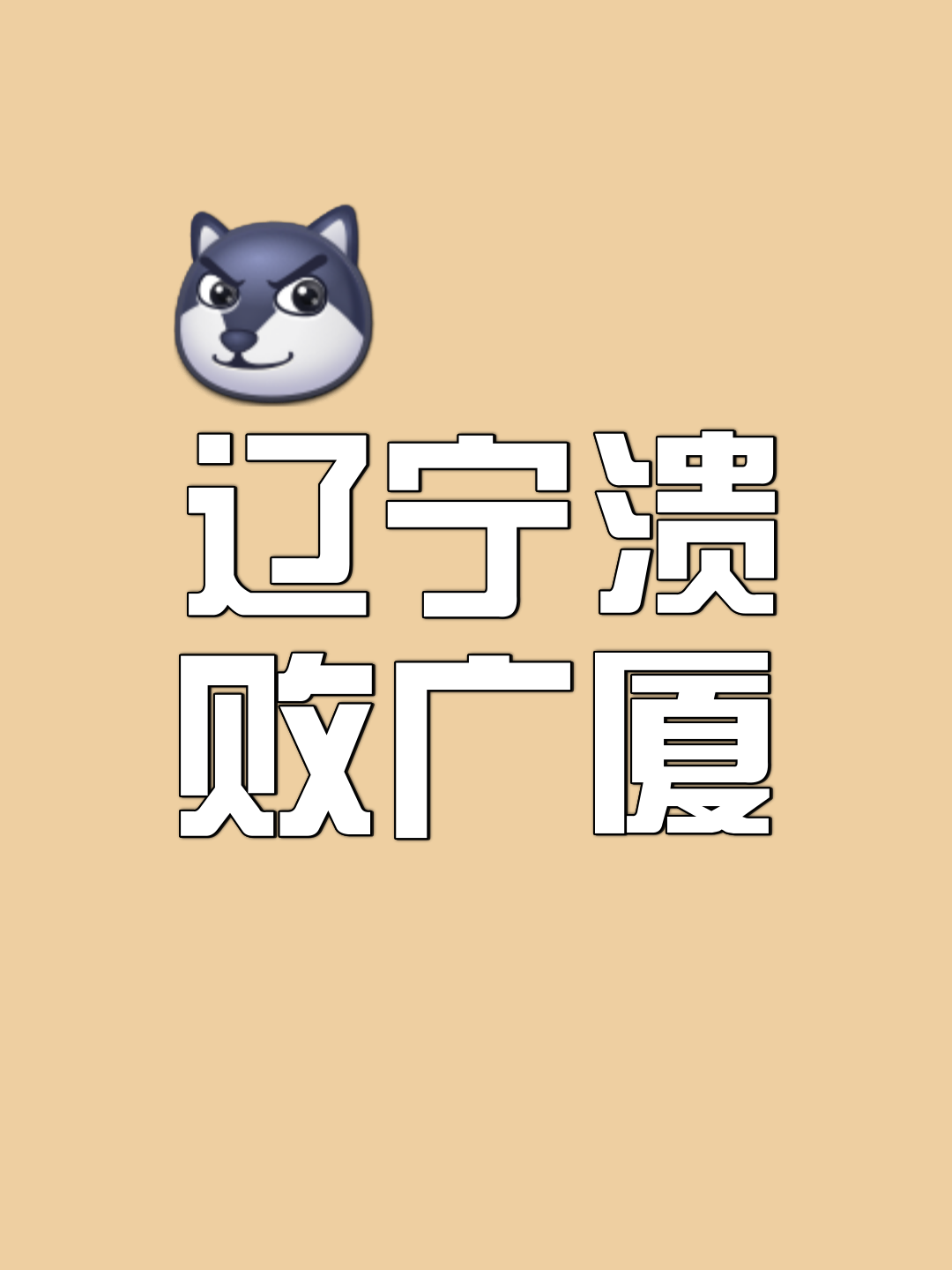 辽宁再次迎战广州，力争客场绝地反击